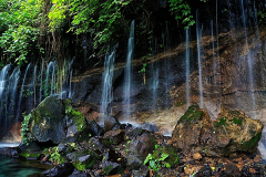 El-Salvador